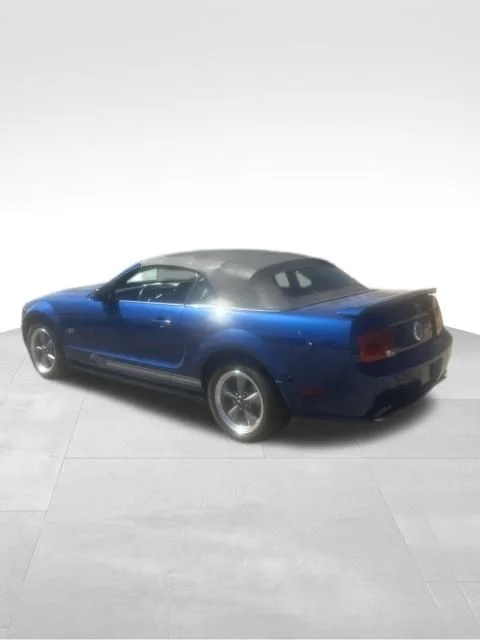 Used 2006 Blue Ford  image 4