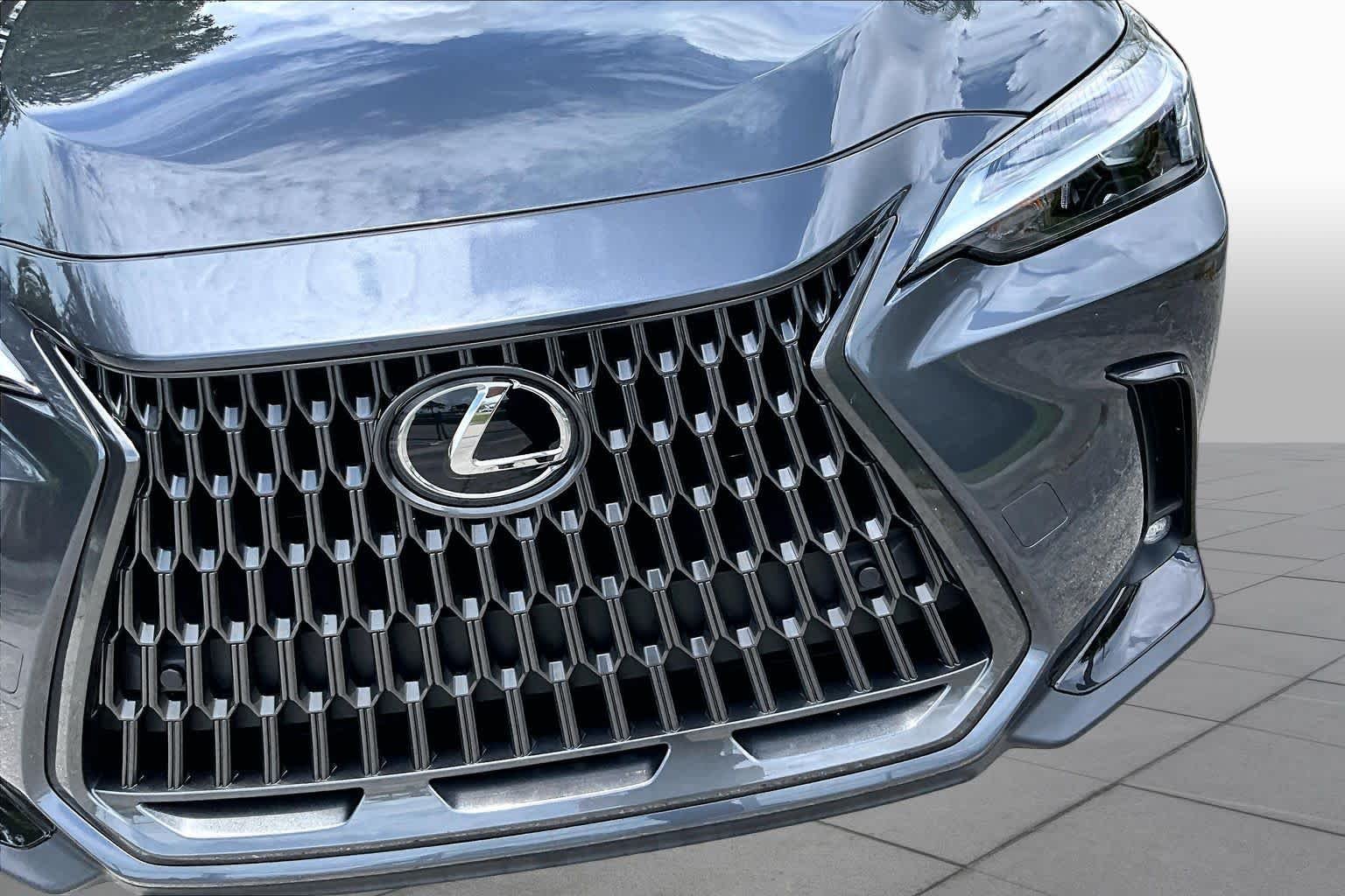 Used 2025 Cloudburst Gray Lexus  image 30