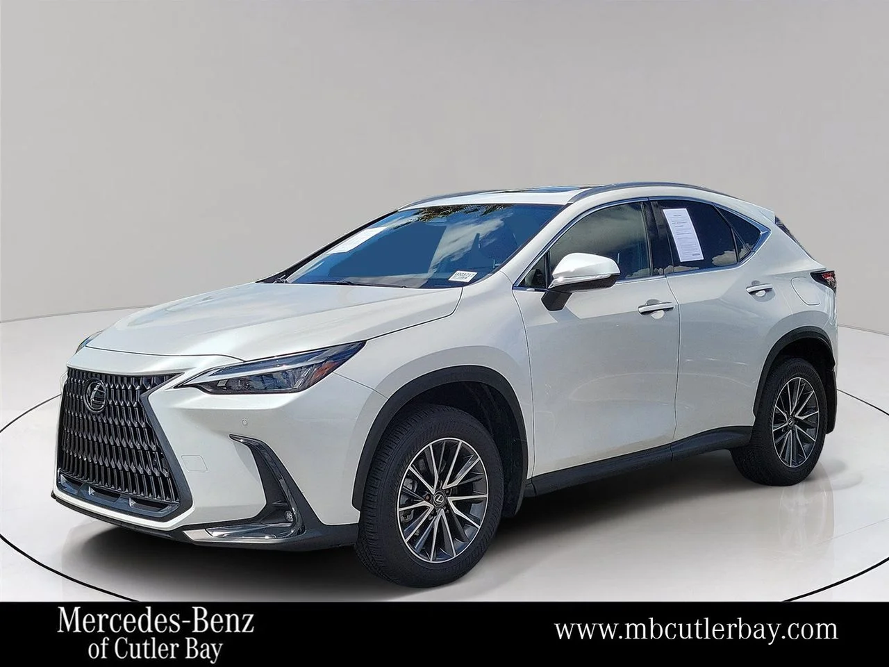 2024 Lexus NX