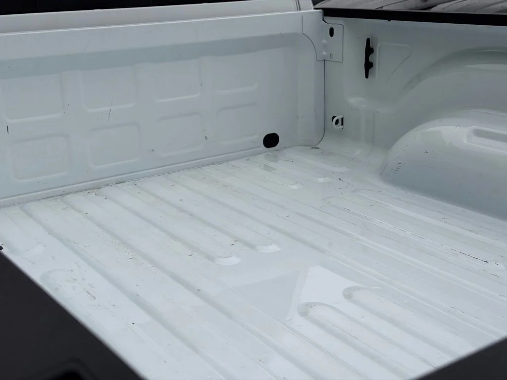 Used 2026 White Ram Rebel image 9