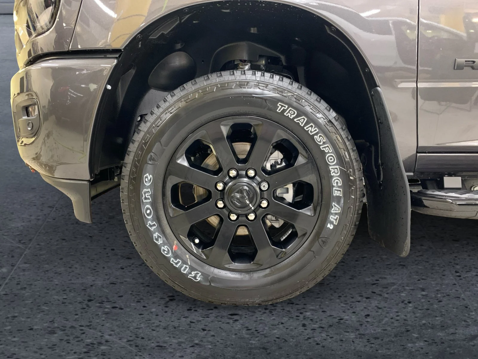 New 2026 Granite Crystal Metallic Ram Big Horn image 9
