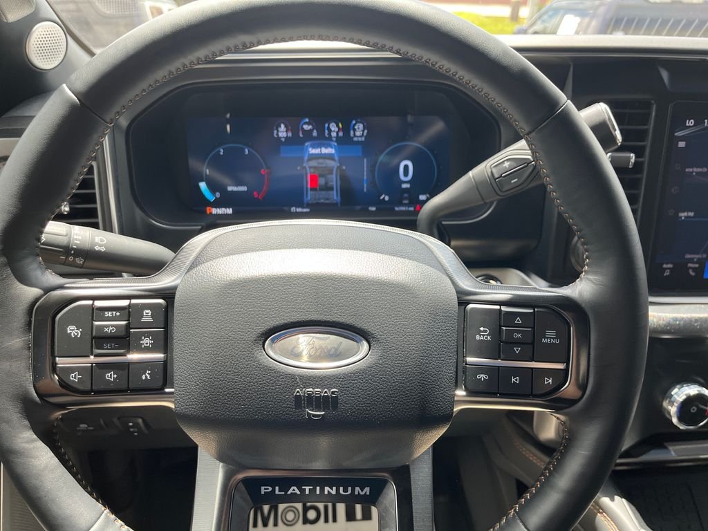 Used 2024 White Ford Platinum image 15