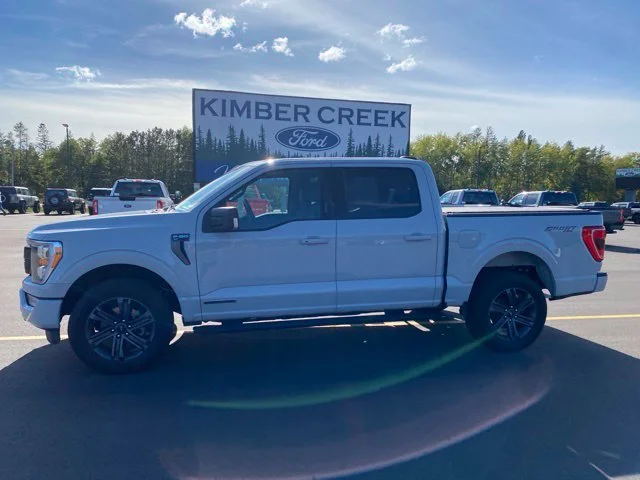 Used 2023 Ford F-150 XLT with VIN 1FTFW1ED9PFC76095 for sale in Pine River, Minnesota