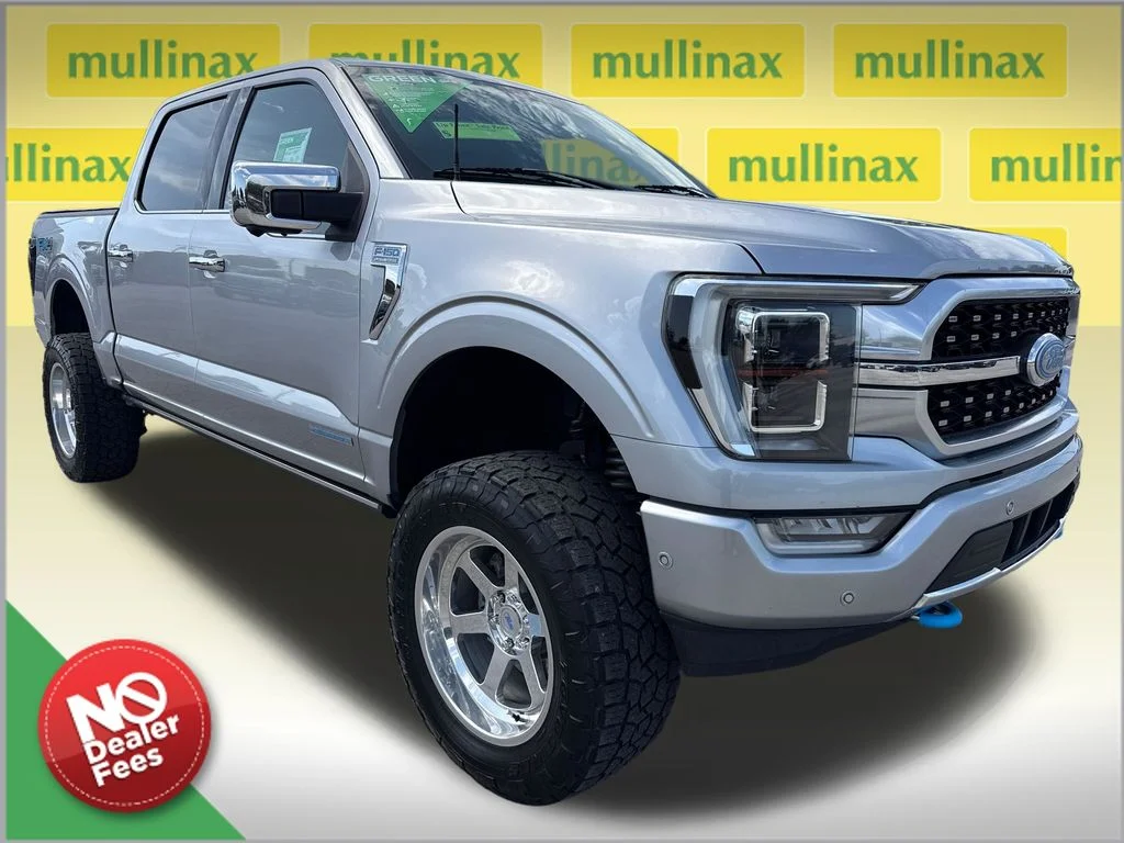 Used 2021 Silver Ford Platinum image 1