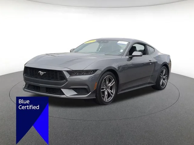 Used 2025 Gray Ford EcoBoost image 7