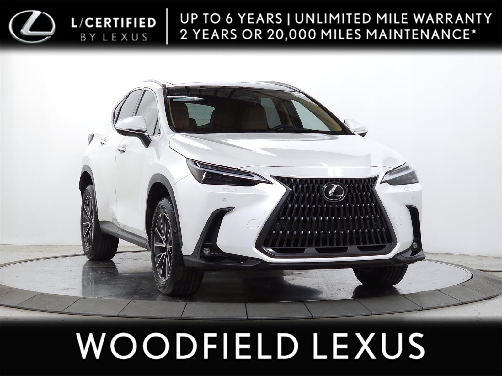2025 Lexus NX 350h 350h Luxury AWD's photo