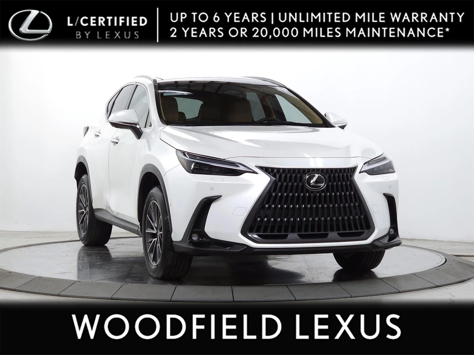 2025 Lexus NX 350h 350h Luxury AWD's photo