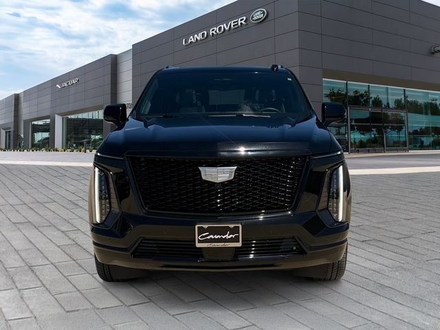 Used 2025 Black Cadillac Sport Platinum image 8