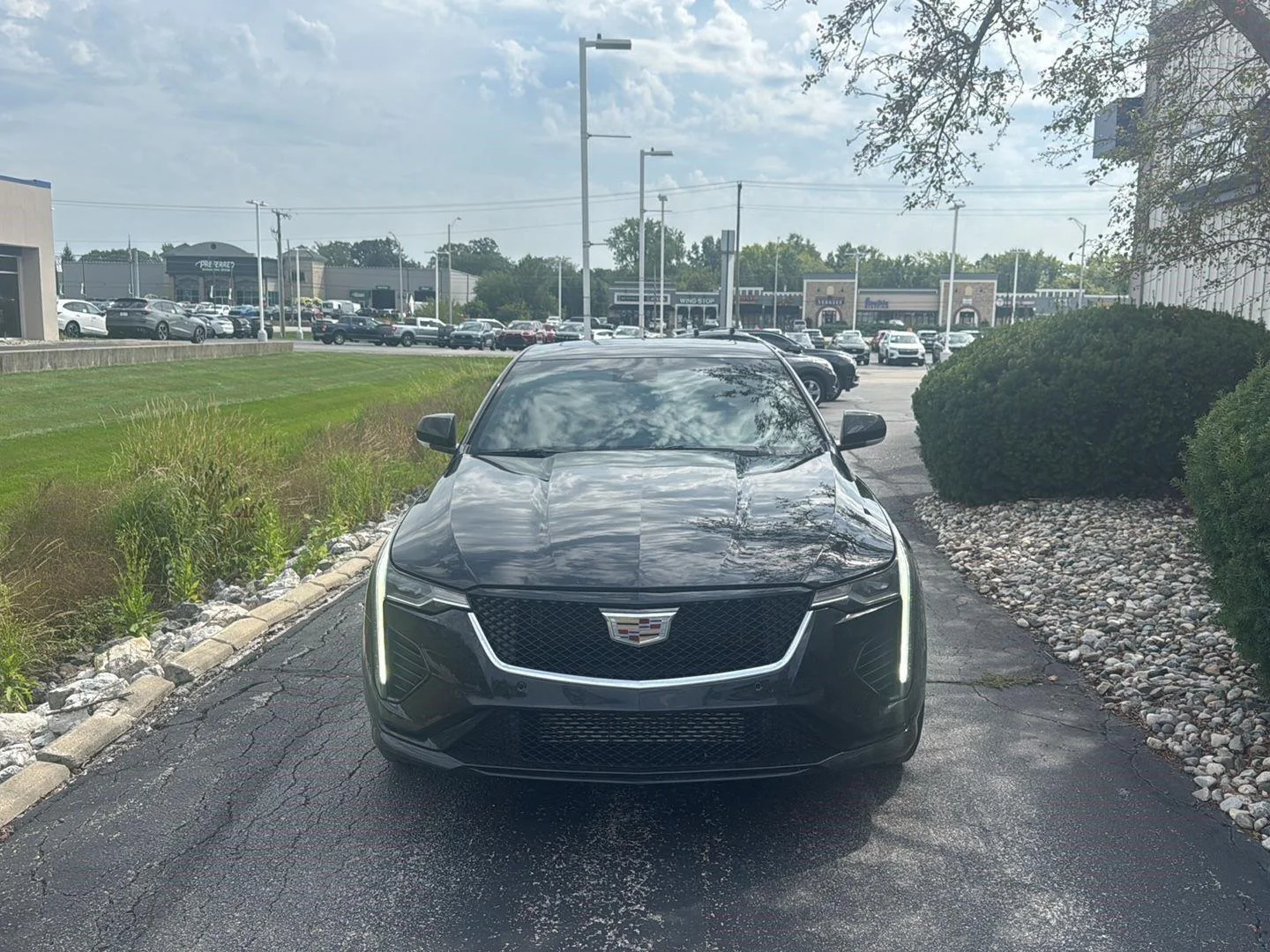 Used 2023 Black Raven Cadillac Sport image 2