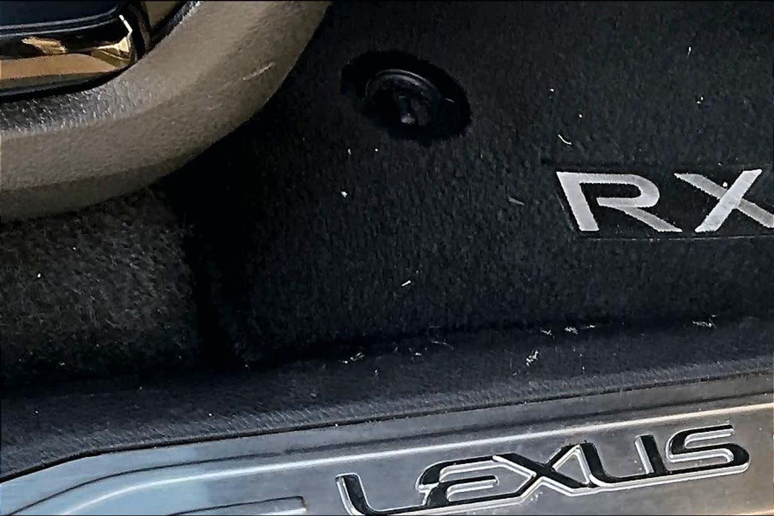 2025 Lexus RX 350 - Photo 19