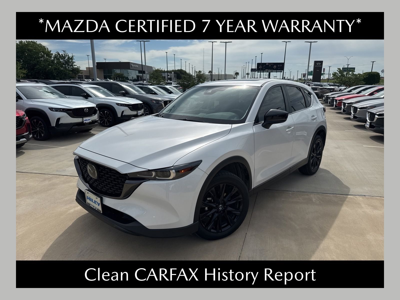 2025 Mazda CX-5 S Carbon Edition Auto AWD's photo
