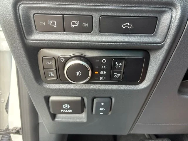 Used 2024 Star White Ford Platinum image 36
