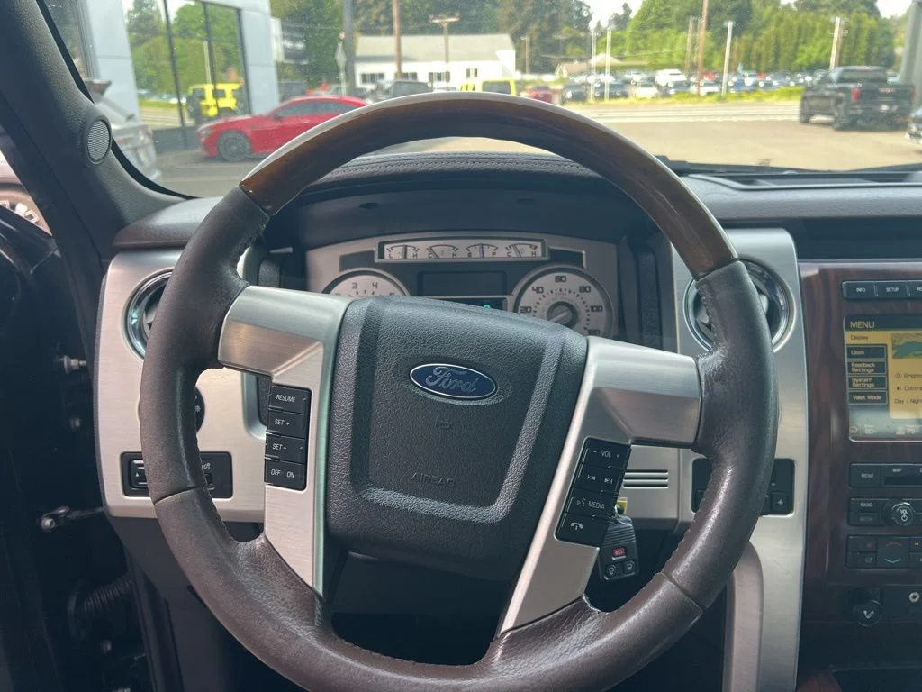 Used 2009 Black Ford Platinum image 10