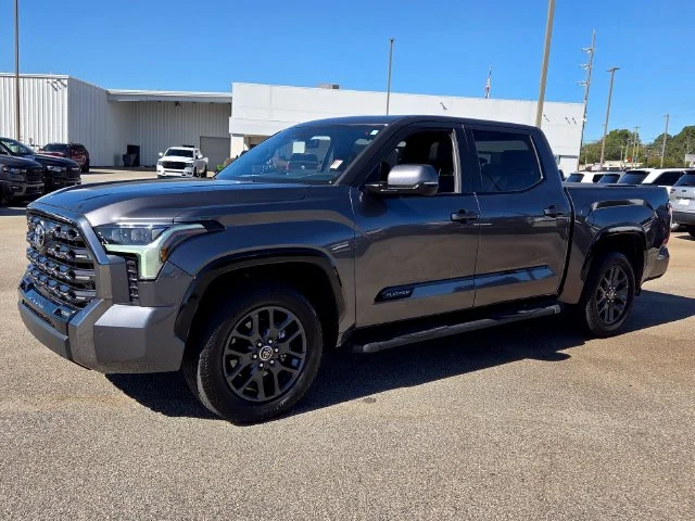 Used 2022 Gray Toyota Platinum image 3
