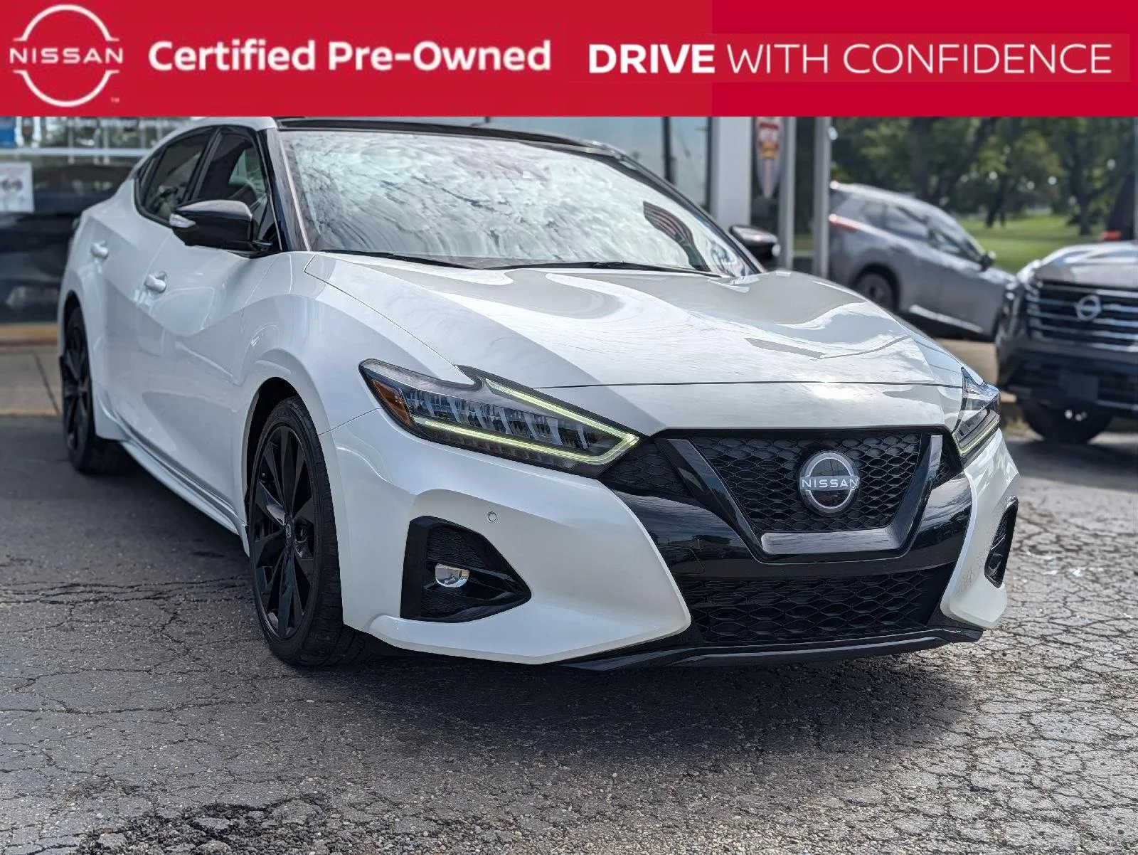2023 Nissan Maxima
