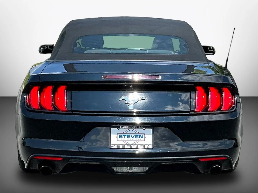 Used 2016 Shadow Black Ford V6 image 5