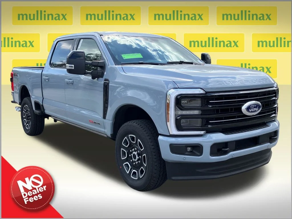New 2026 Gray Ford Platinum image 1