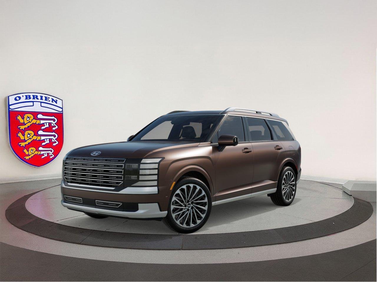 New 2026 Earthy Brass Matte Hyundai Calligraphy image 39