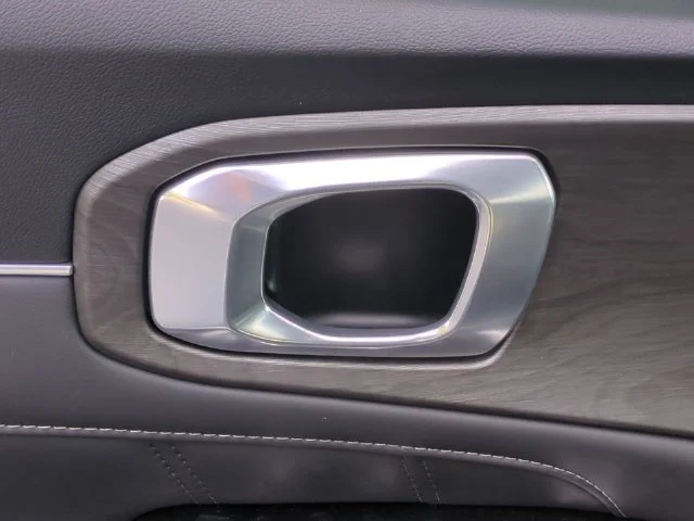 Used 2024 Green Kia X-Line SX image 13
