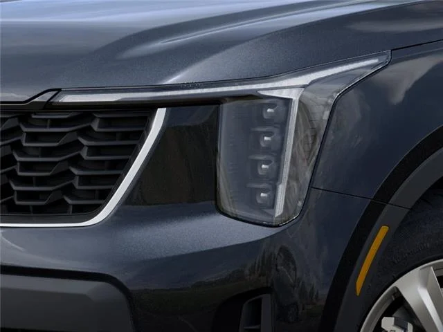 New 2026 Panthera Metal Kia LX image 10