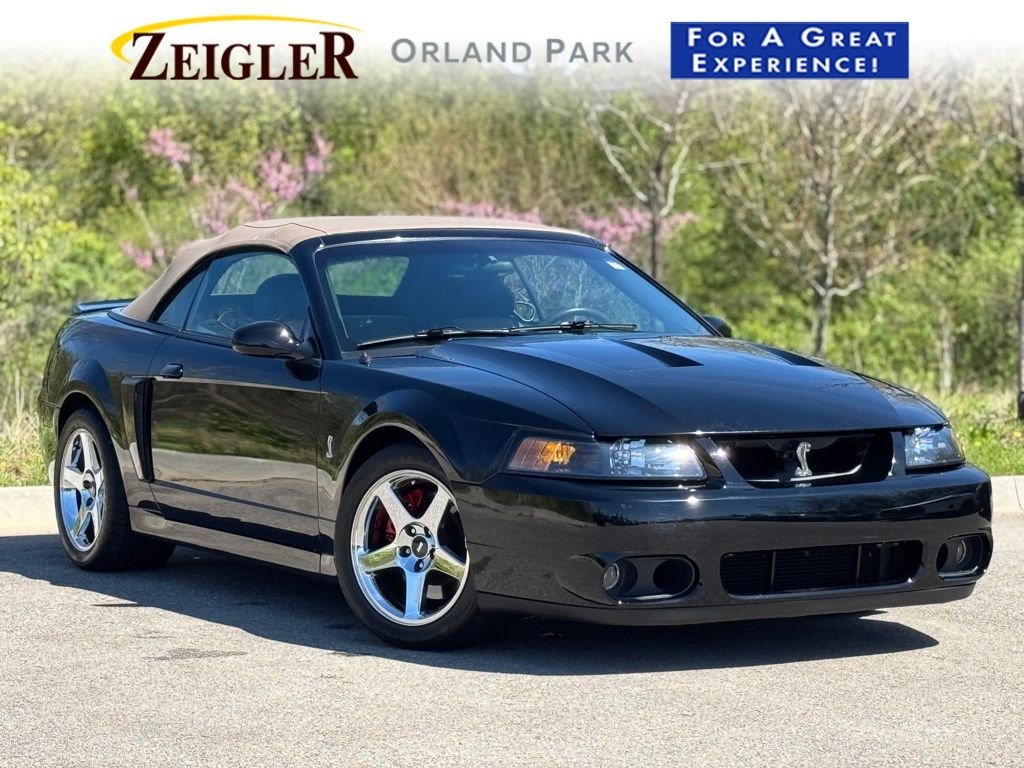 2003 Ford Mustang Cobra SVT's photo