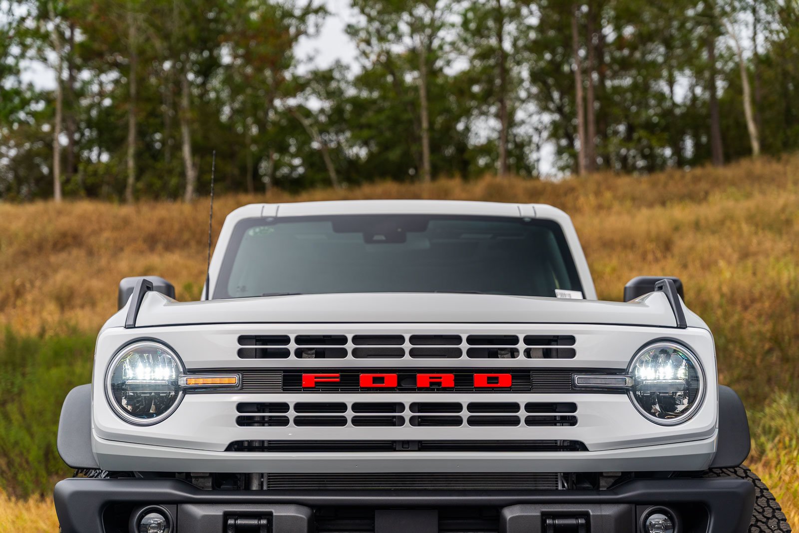 New 2026 Avalanche Gray Ford Heritage Edition image 4