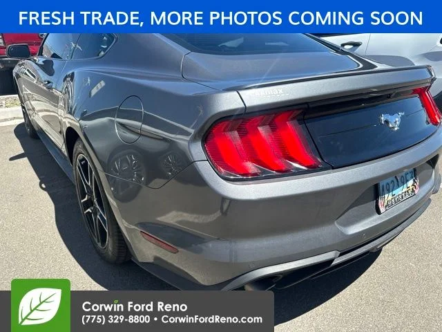 Used 2023 Gray Ford EcoBoost Premium image 6