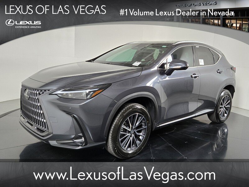 New 2026 Cloudburst Gray Lexus PREMIUM image 1