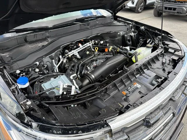 New 2026 Agate Black Metallic Ford Active image 59