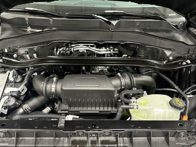 New 2026 Black Ford ST image 22