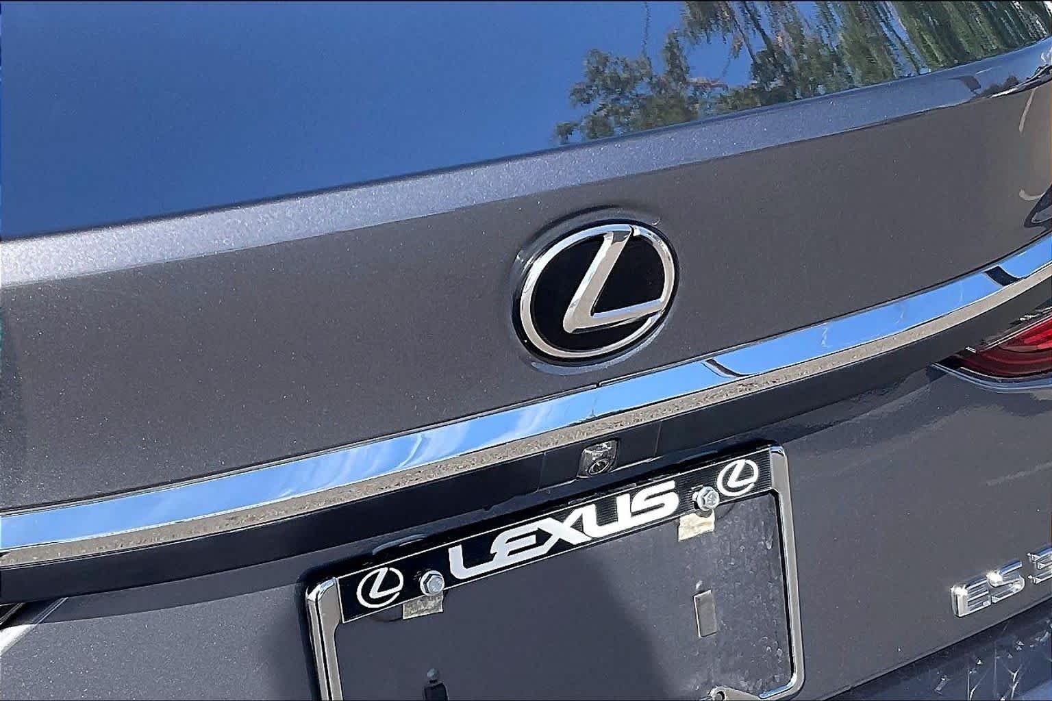 Used 2019 Nebula Gray Pearl Lexus Ultra Luxury image 29