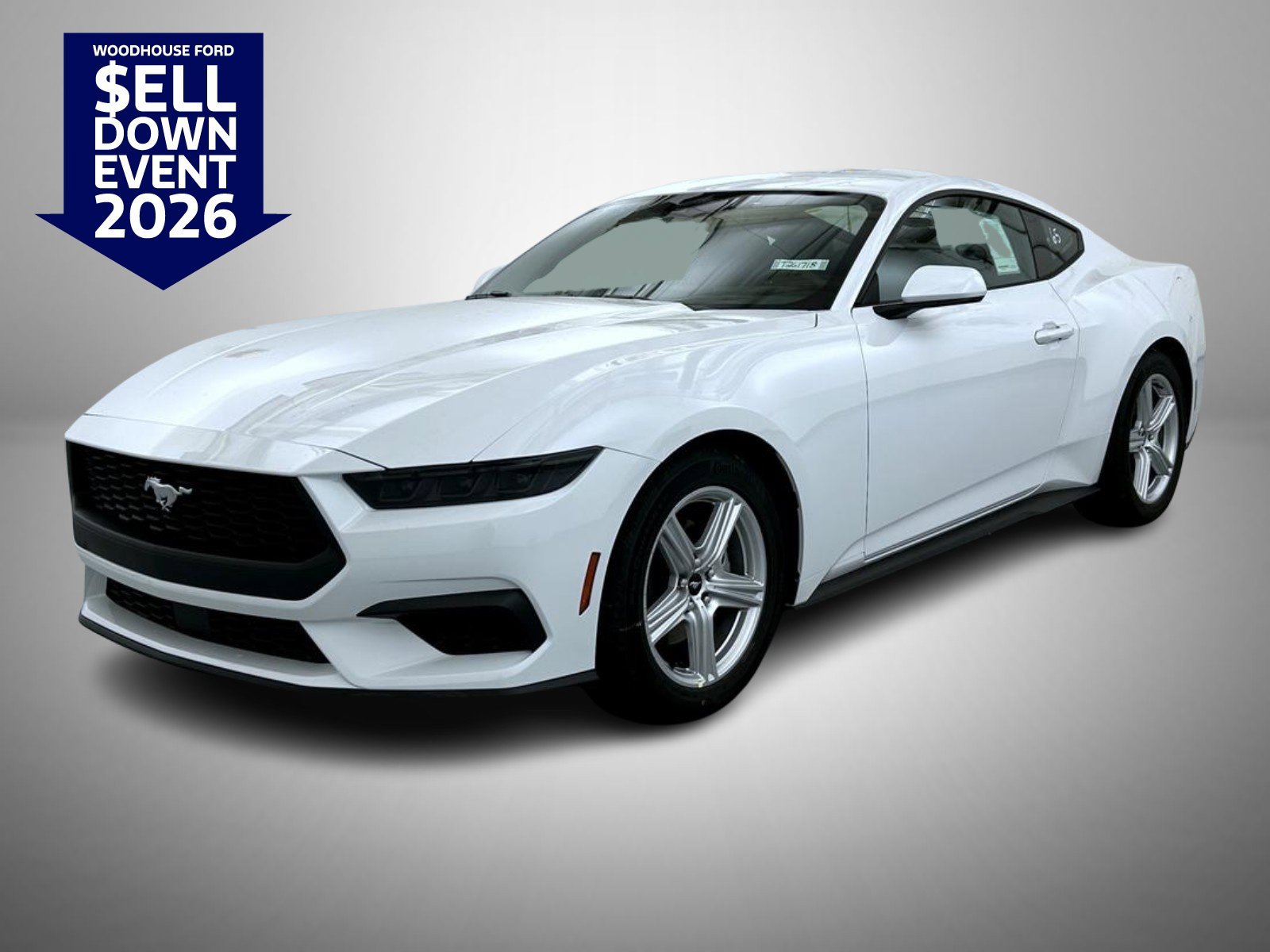 New 2026 Oxford White Ford EcoBoost image 1
