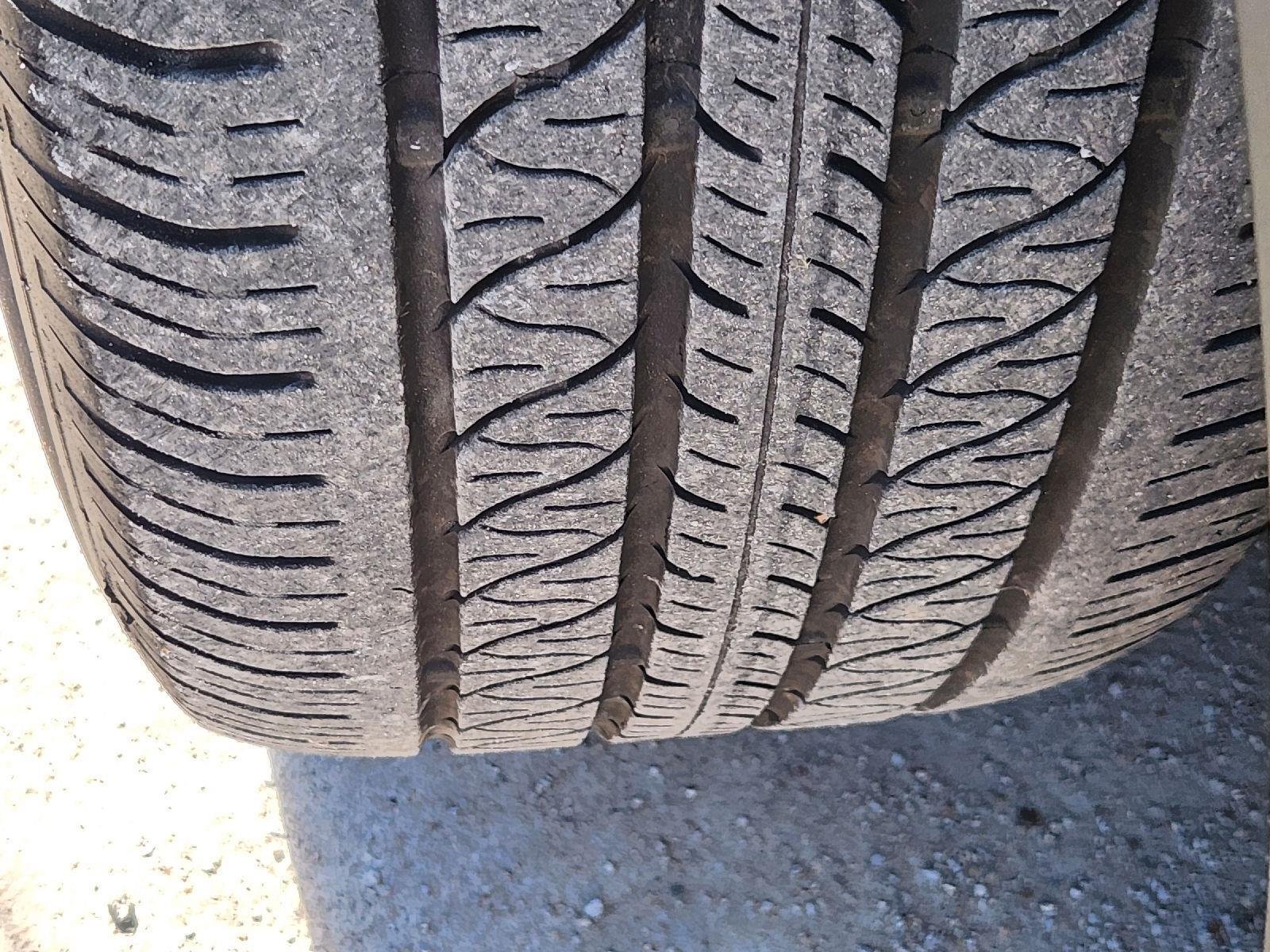 2023 Tesla Model Y photo 11 of 33