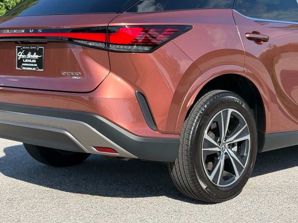 2025 Lexus RX 350 - Photo 13