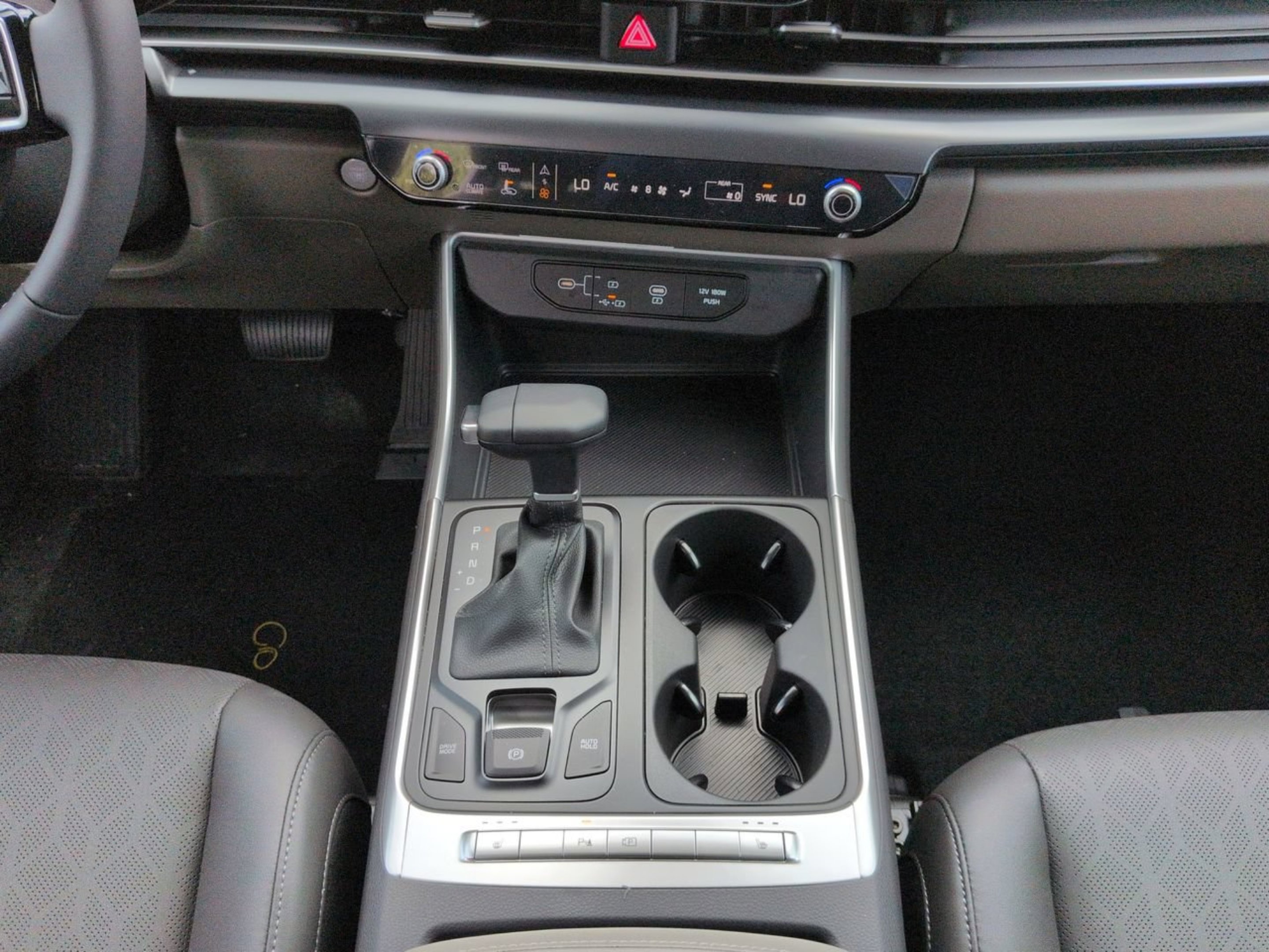 New 2026 Panthera Metal Kia LXS image 12