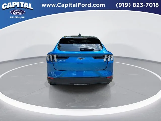 Used 2025 Blue Ford Premium image 7