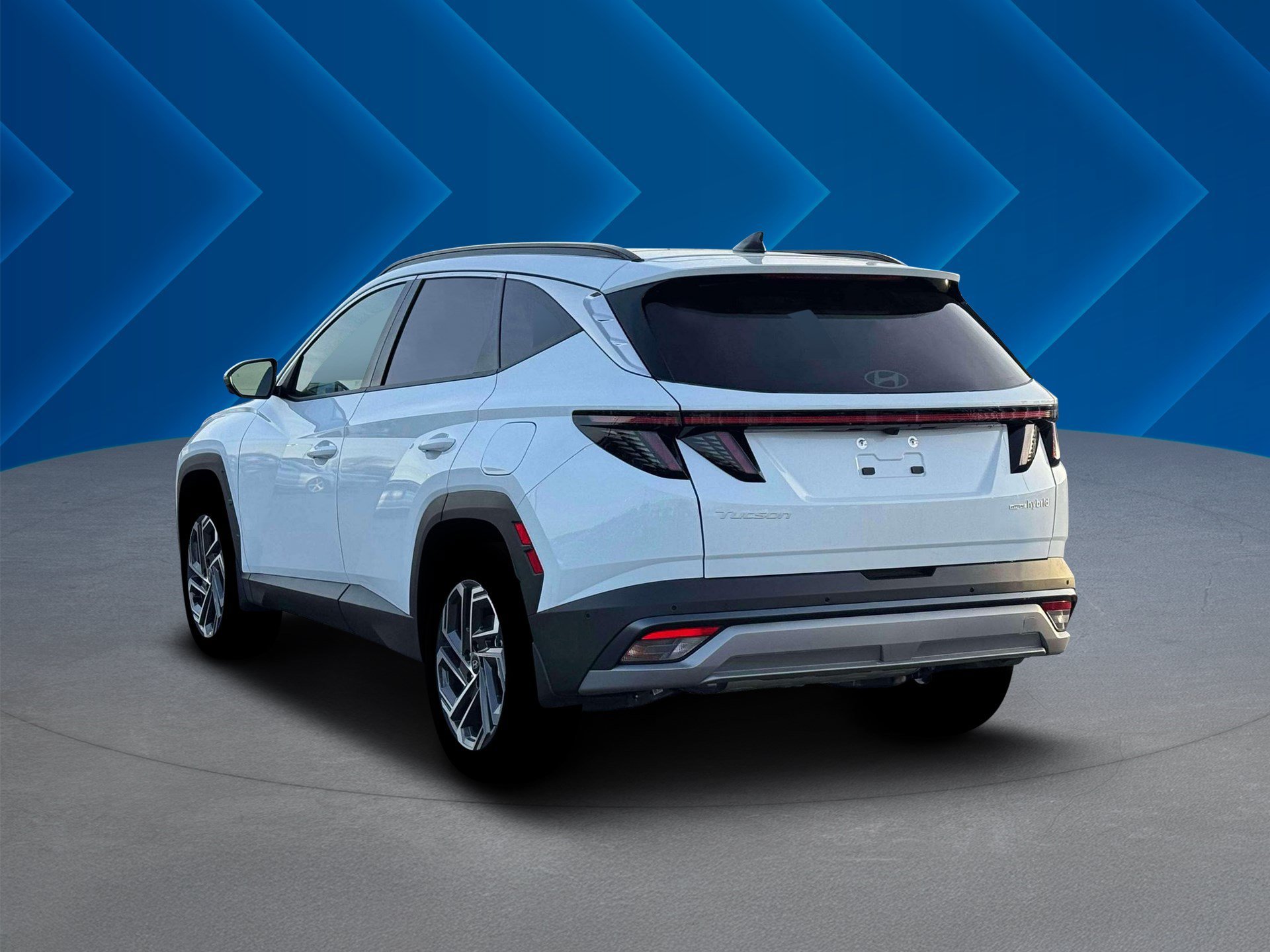 New 2026 Creamy White Pearl Hyundai Limited image 5