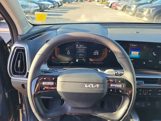 New 2026 Panthera Metal Kia LX image 13