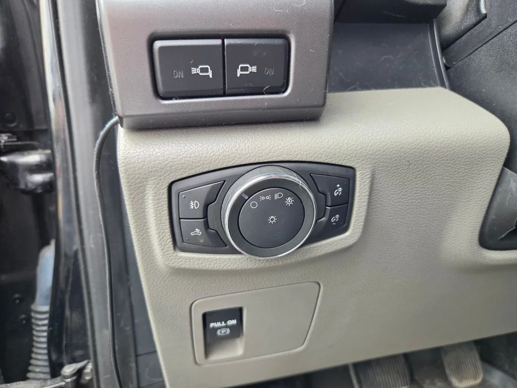 Used 2019 Blue Ford  image 12
