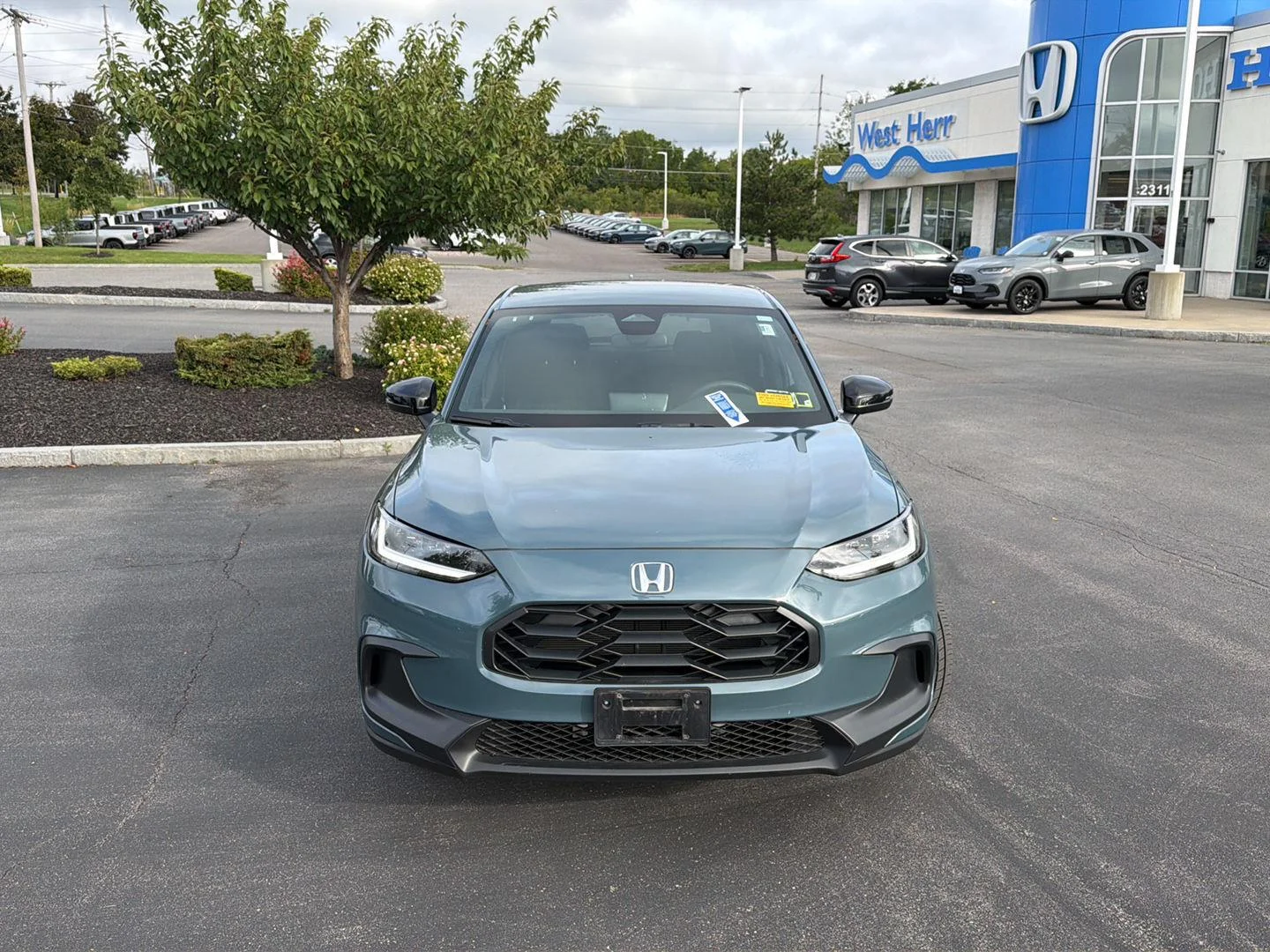 Used 2024 Nordic Forest Pearl Honda Sport image 2