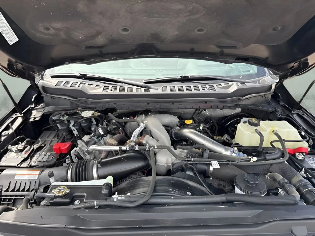 Used 2023 Black Ford XL image 11