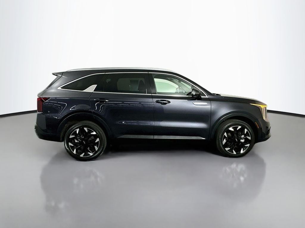 Used 2025 Panthera Metal Kia EX image 9