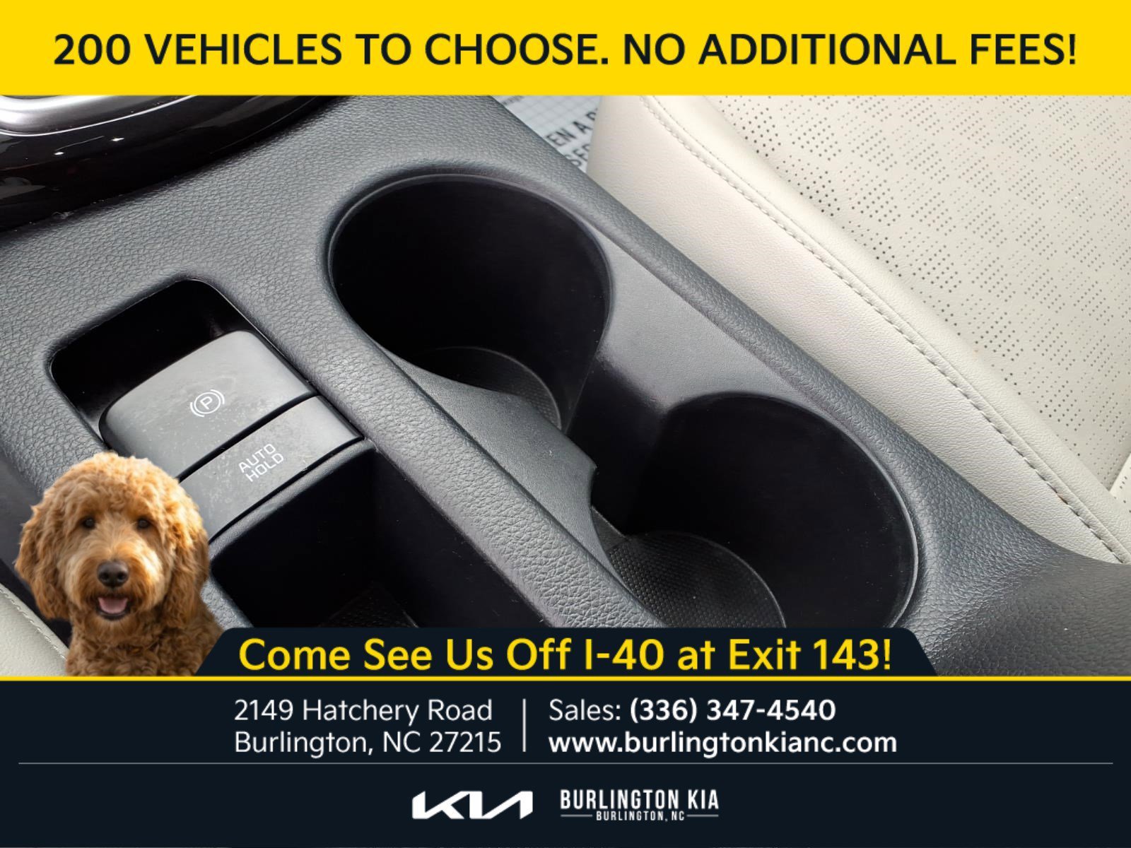 Used 2023 Neptune Blue Kia SX image 9