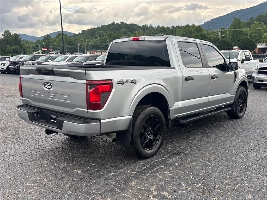 2024 Ford F-150 STX - Photo 8
