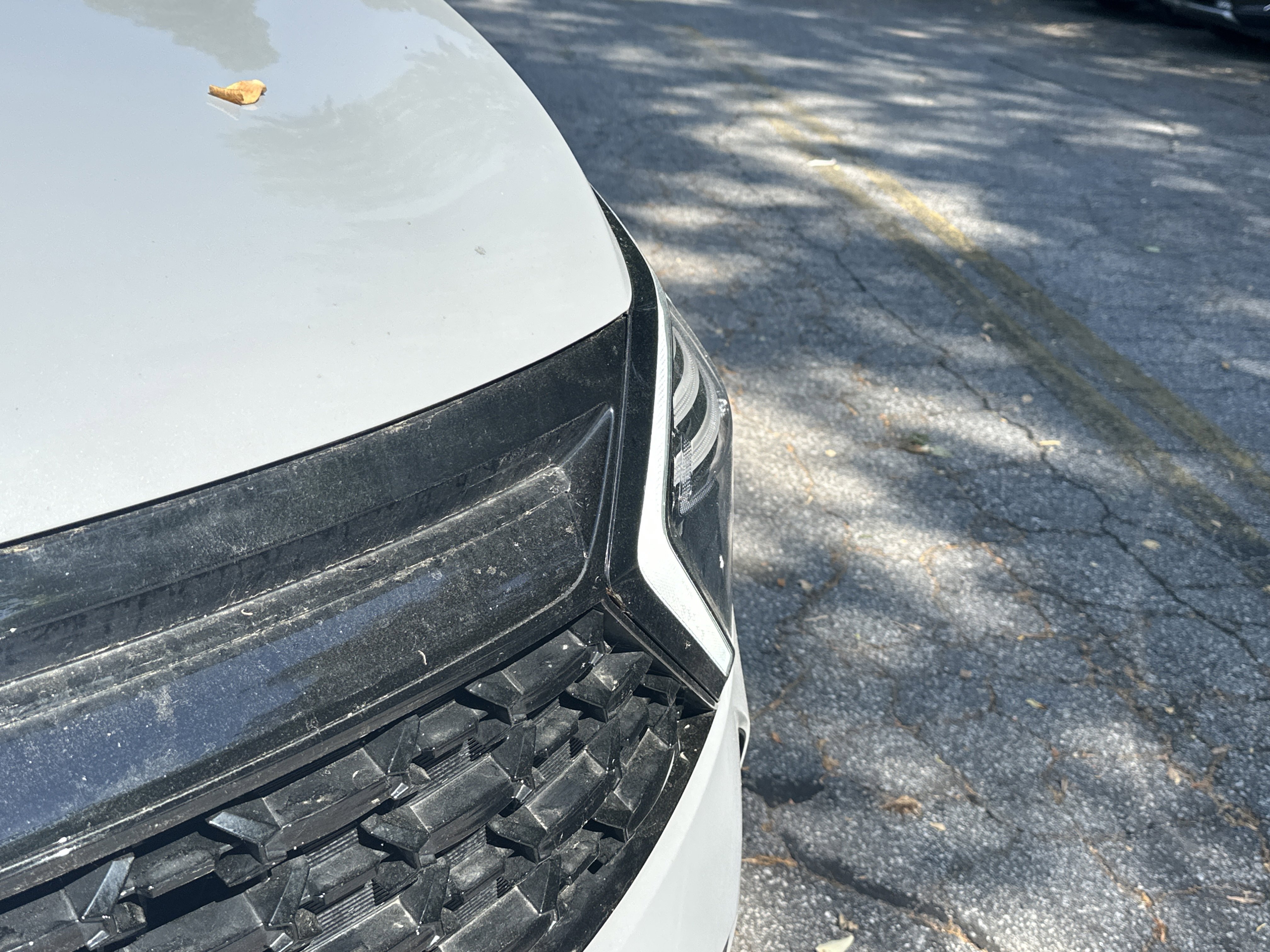 Used 2025 Wolf Gray/Ebony Black Roof Kia X-Pro image 14