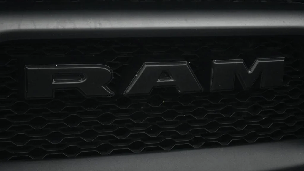 Used 2019 Black Ram Rebel image 19
