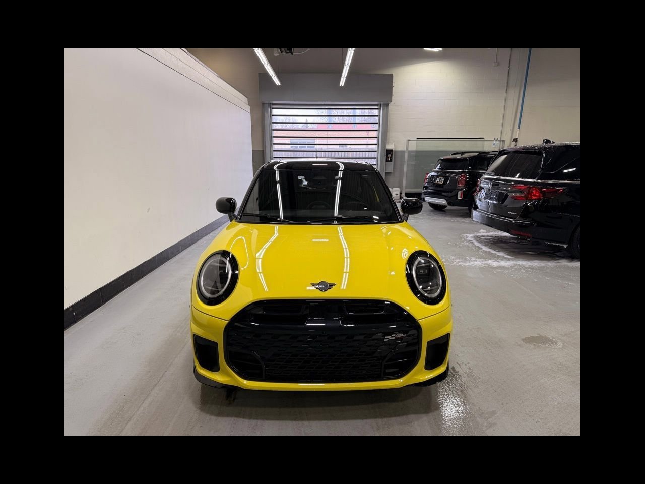 New 2026 Sunny Side Yellow MINI ICONIC image 8