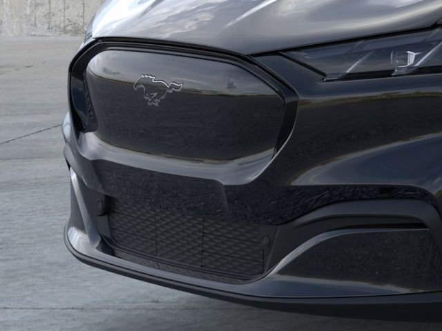 New 2026 Shadow Black Ford Premium image 18