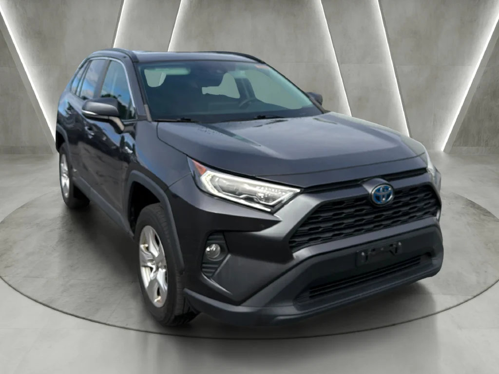 2019 Toyota RAV4 XLE