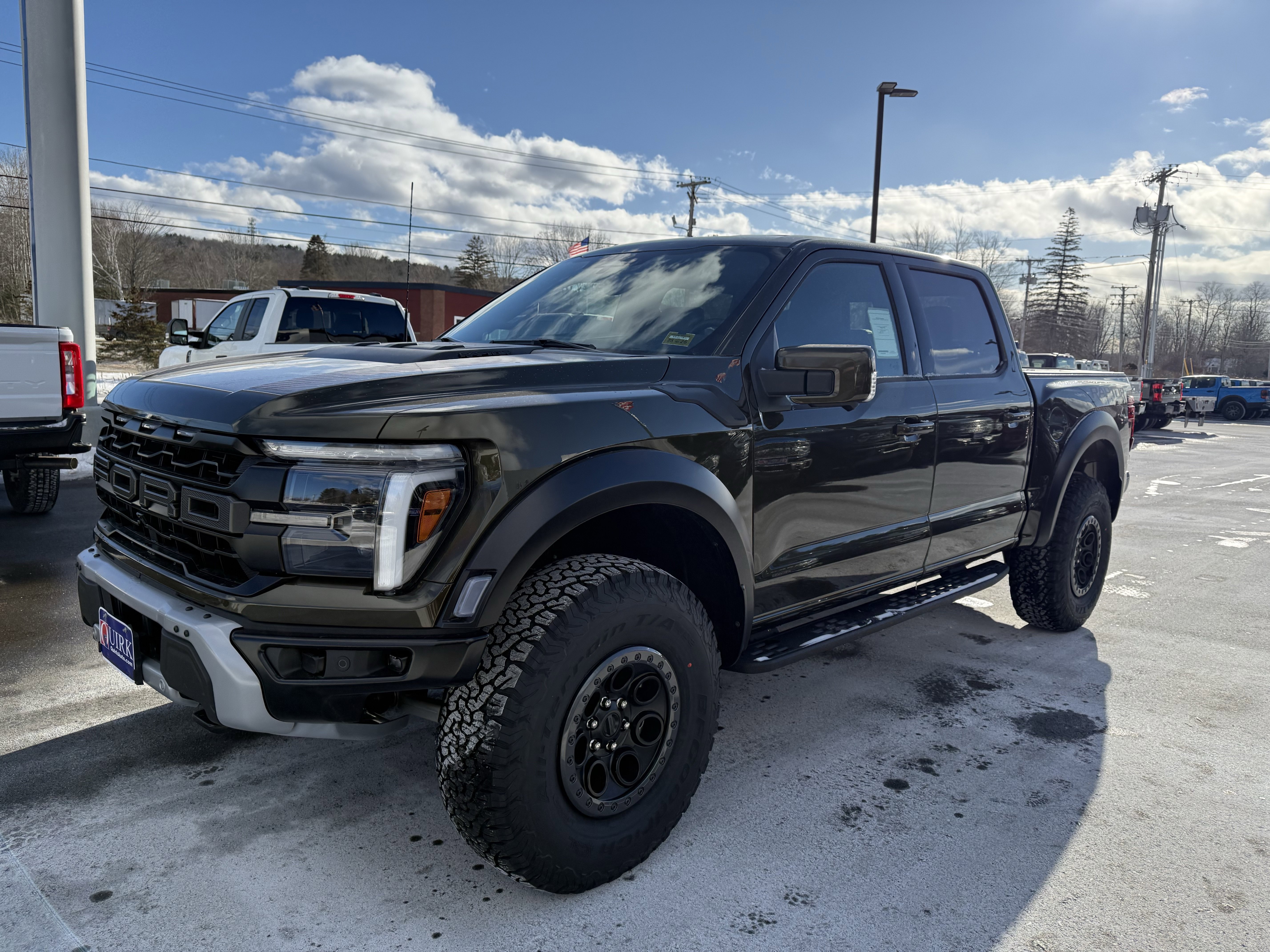 New 2025 Shelter Green Ford Raptor® image 14